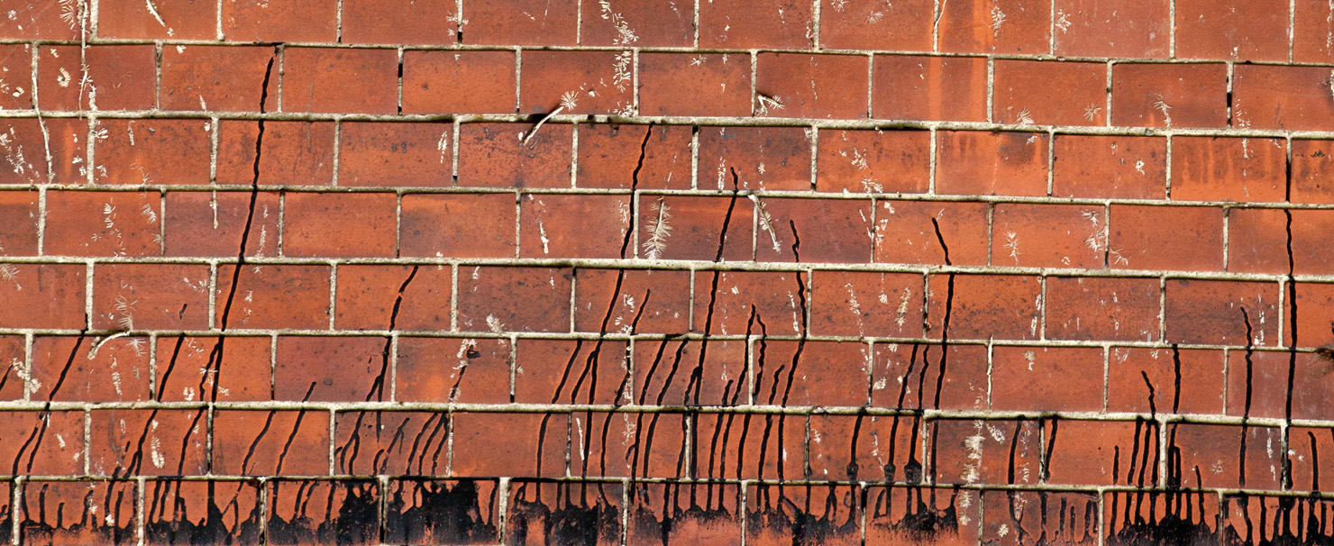 bricks & walls, photo special by Charlie Alice Raya
