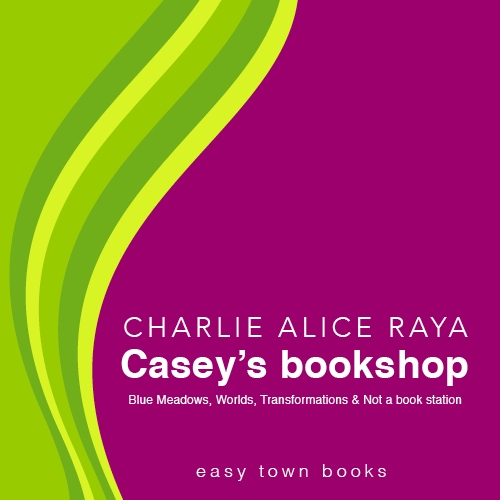 Casey's bookshop, download